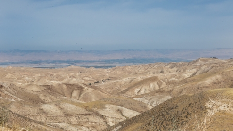 אלון031.jpg