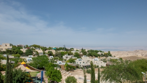 אלון038.jpg