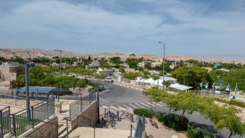 אלון018.jpg