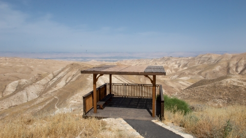 אלון046.jpg