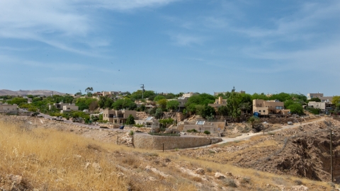 אלון.jpg