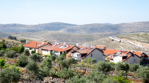 מבט כללי.jpg