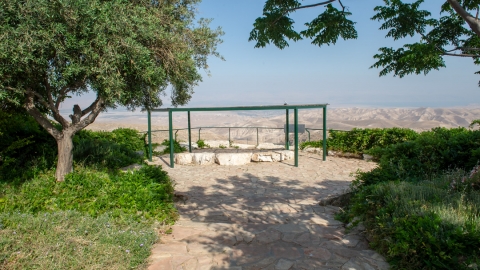 רמונים029.jpg