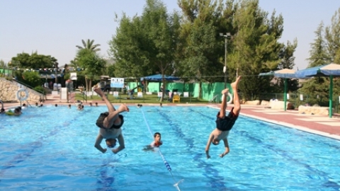 בריכה.jpg