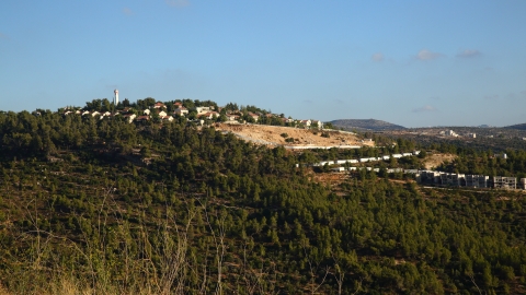 נוף.JPG