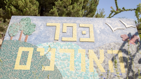 אומנות קהילתית.jpg