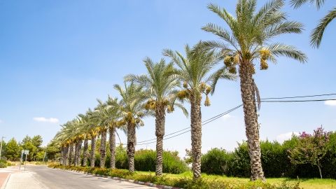 _Z2A0531.jpg