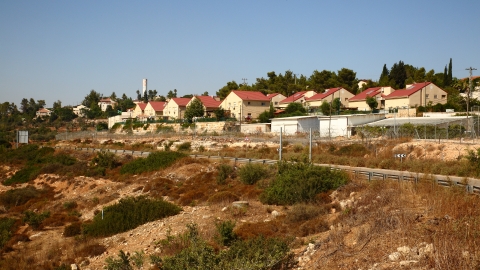 מבט מרחוק.JPG