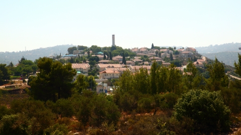 מבט מרחוק.JPG
