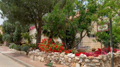 רחוב1.jpg