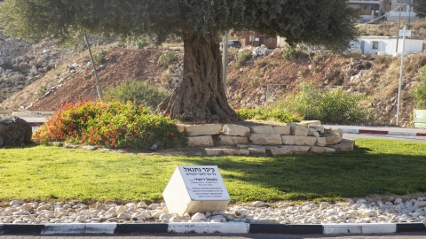 כיכר כניסה.jpg