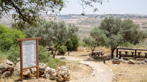 פארק מייסדים.jpg