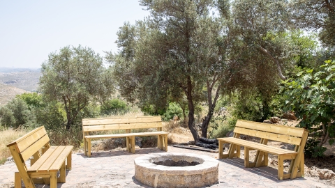 תצפית.jpg