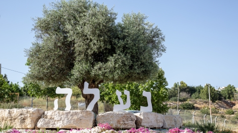 כניסה לישוב.jpg
