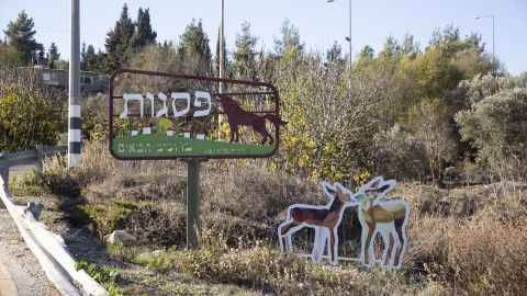 כניסה.jpg