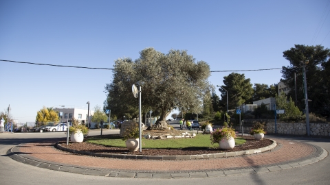 כיכר כניסה.jpg