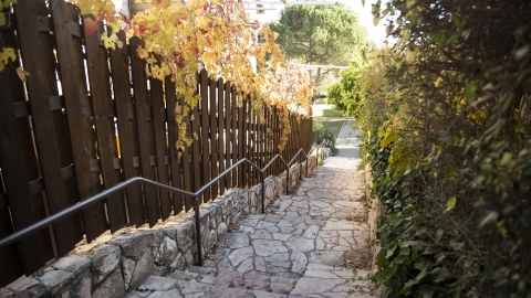 רחוב2.jpg