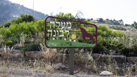 כניסה מעלה לבונה.jpg