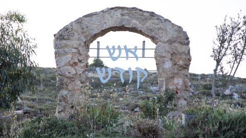 כניסה.jpg